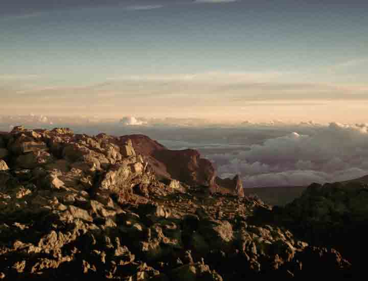 在线DDOS攻击平台