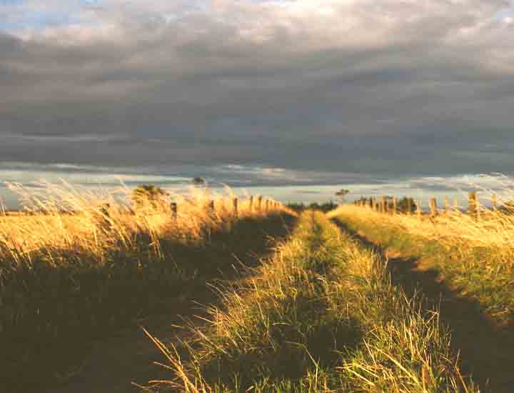 无需付费激活的网站攻击防护